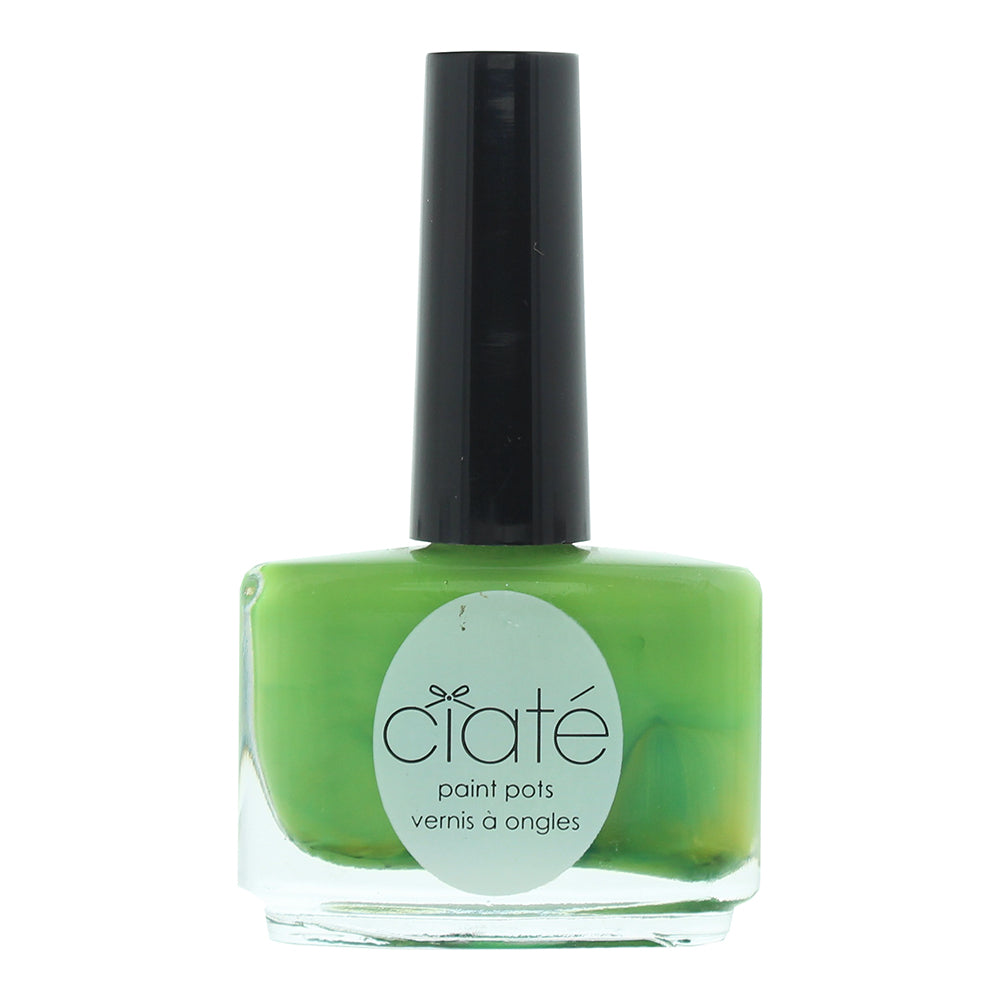 Ciaté Paint Pots Pp135 Palm Tree Nail Polish 13.5ml