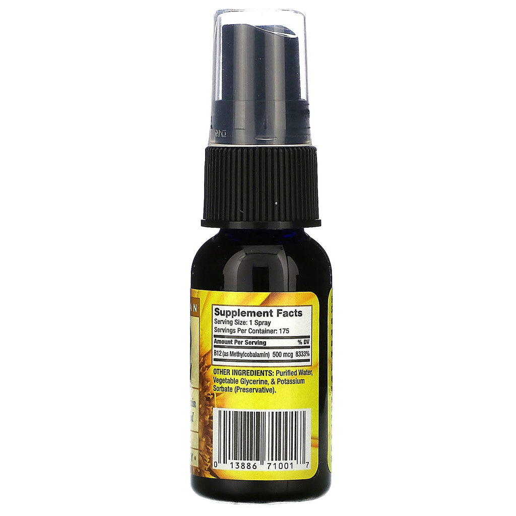 Pure Vegan, B-12, Spray, 500 mcg, 1 fl oz