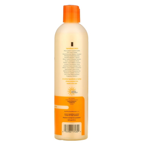 Earth Science, Citress Volumizing Shampoo, 12 fl oz (355 ml)