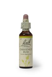 Bach Original Flower Remedies Chestnut Bud 20ml