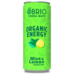 Brio Mate BRIO MATE Organic Energy Drink Mint & Lemon 250ml