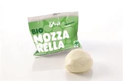 OMA OMA Organic Mozzarella 100g