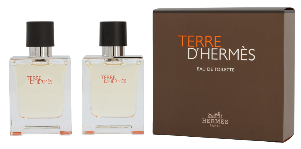 Hermes Terre D'Hermes Duo Set 100 ml