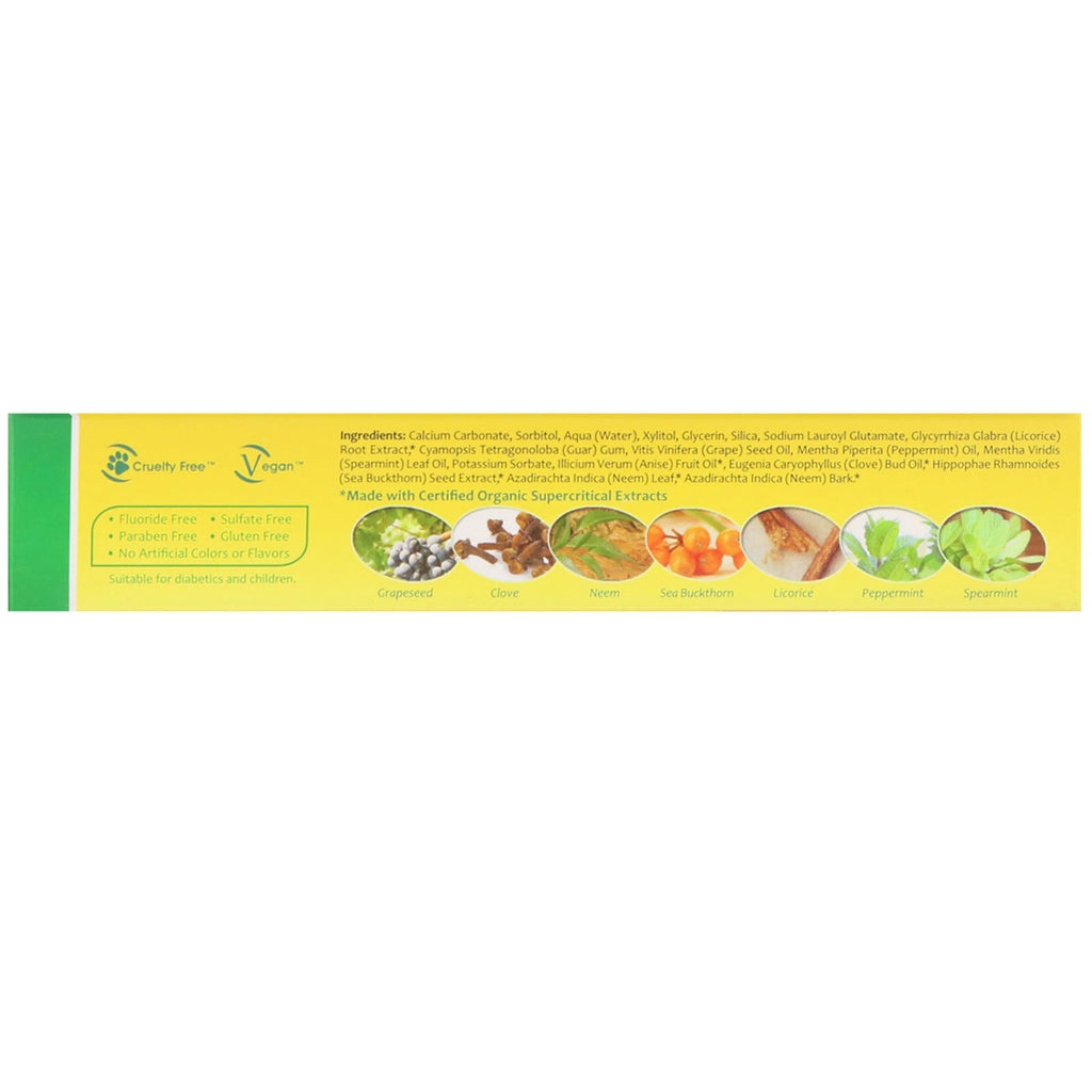 Organix South, Pasta de dientes con neem y espino amarillo, terapia de neem con menta, 4,23 oz (120 g)