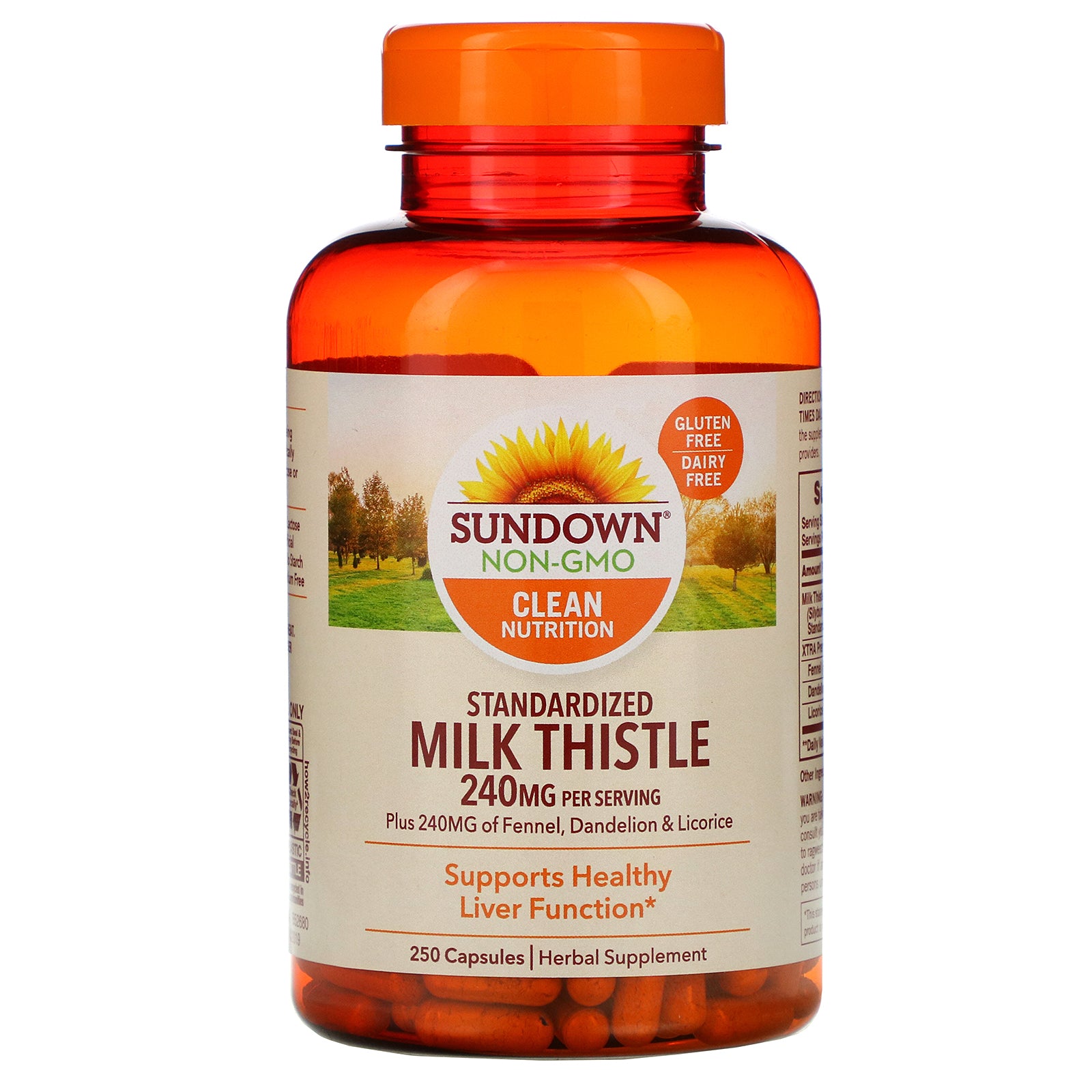 Sundown Naturals, Standardized Milk Thistle, 240 mg, 250 Capsules